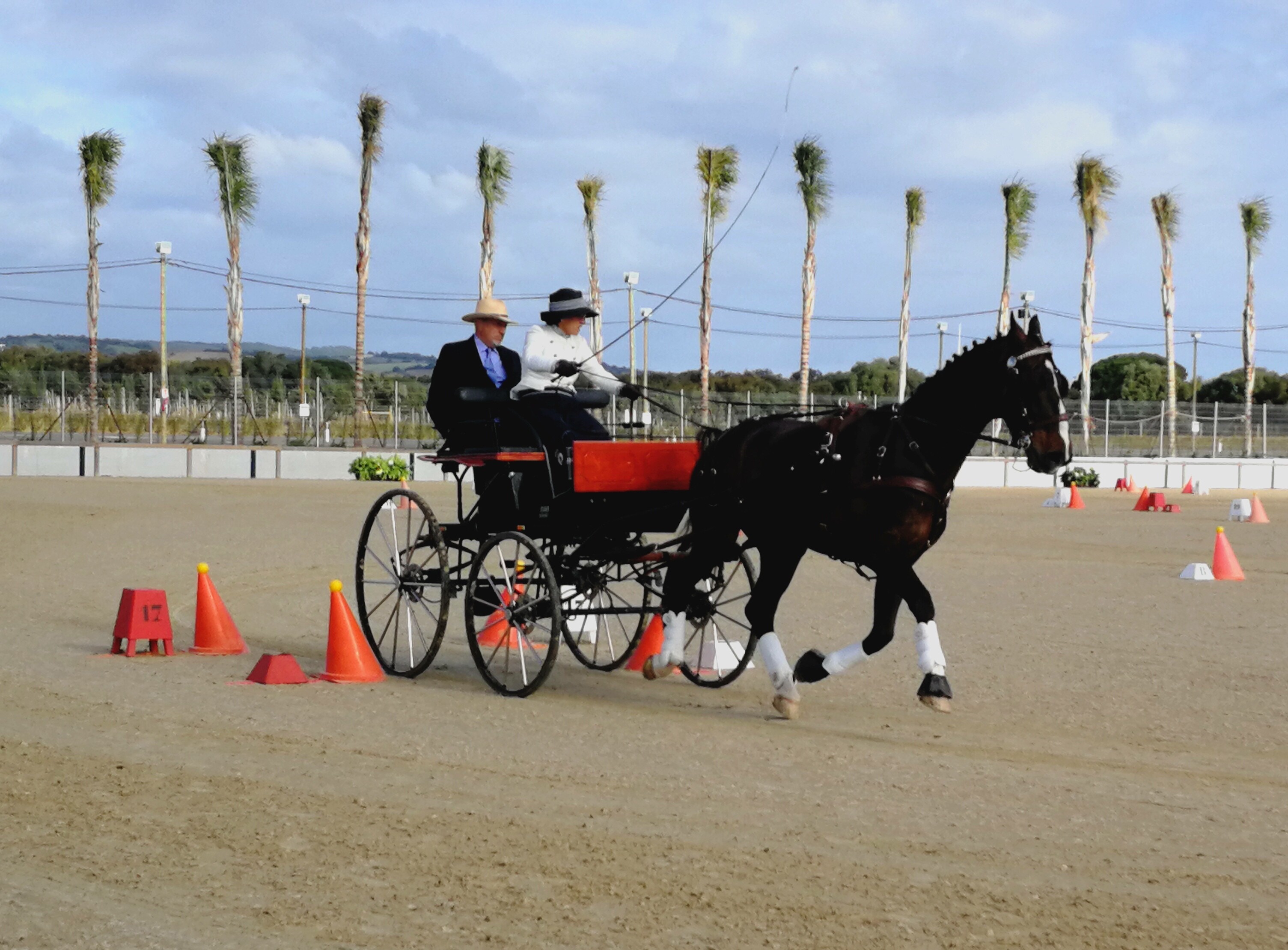 Concurso FEI Enganches, Copa Ibérica 2019 en Montenmedio (Cadiz)